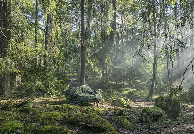 Ontwerp door de natuur