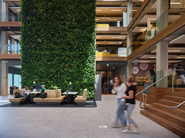 Netwerklunches voor verbinding