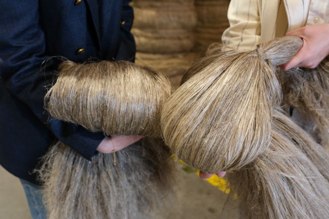 Extra aandeelhouders vlasbedrijf
