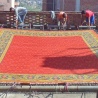 Replica De Munk Carpets