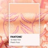 Peach Fuzz Pantone-kleur van 2024