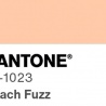 Peach Fuzz Pantone-kleur van 2024