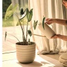 Elho breidt collectie uit