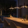 Runa groeit mee met het licht