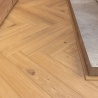 Coretec in tv-programma